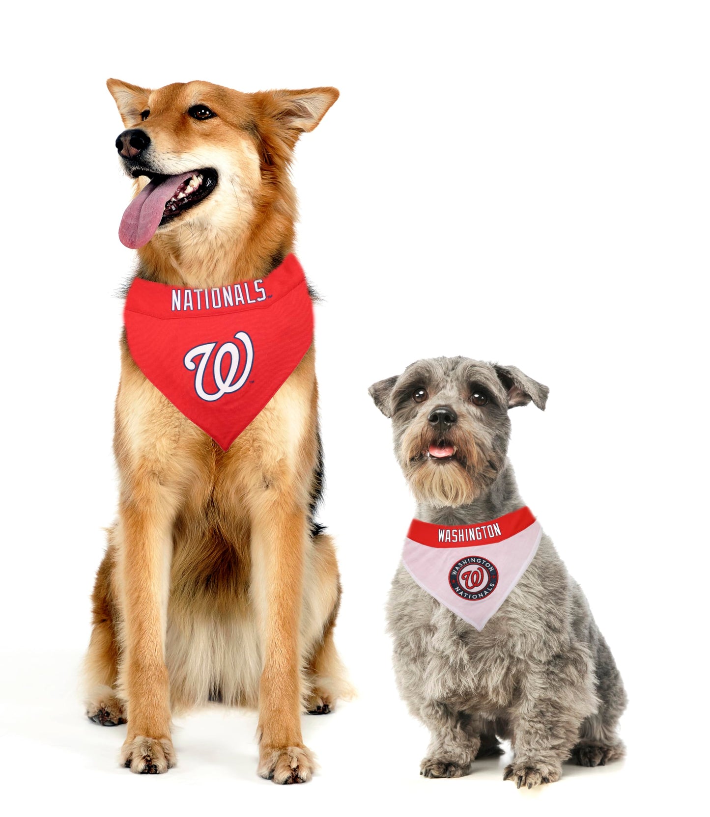 Pets First MLB Astros Reversible Pet