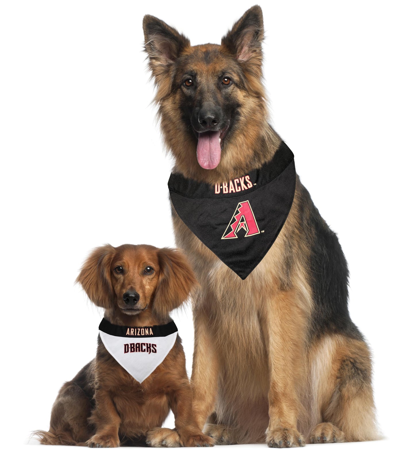 Pets First MLB Astros Reversible Pet