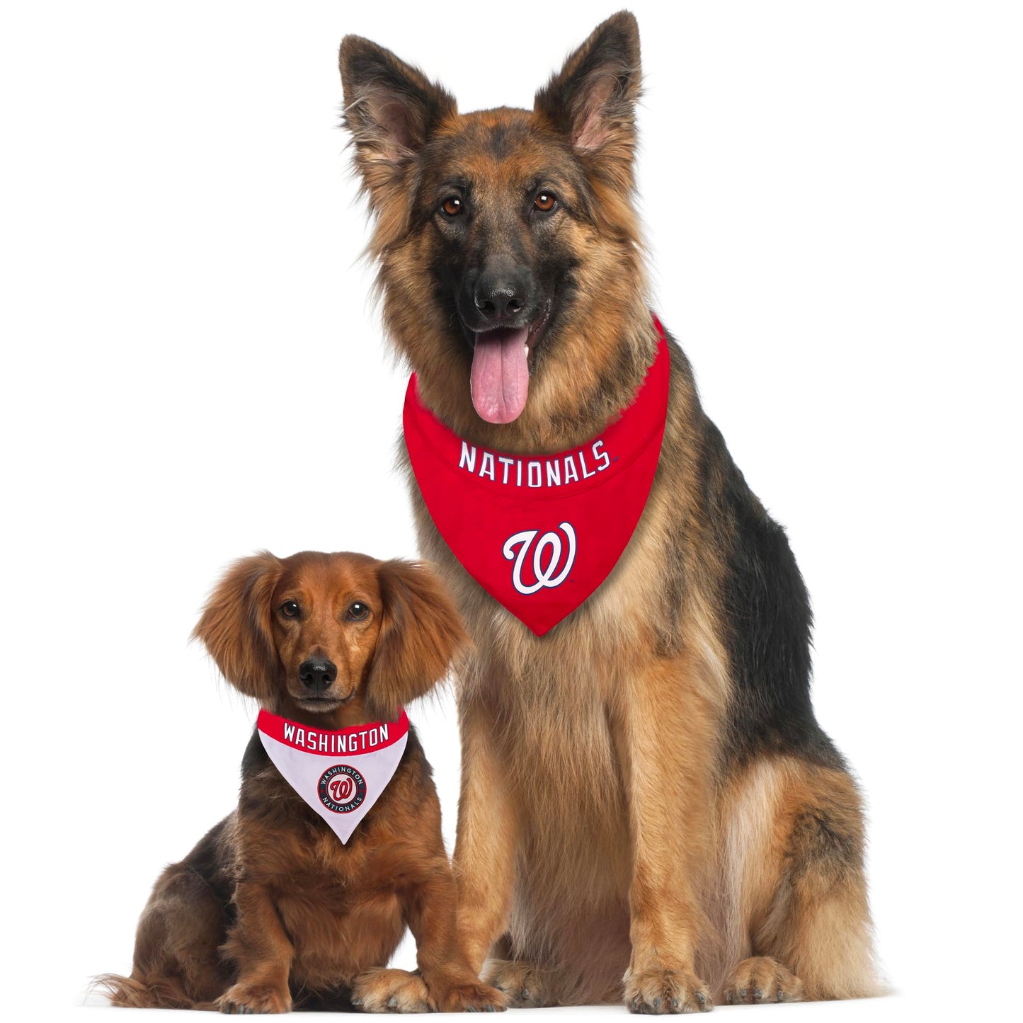 Pets First MLB Astros Reversible Pet